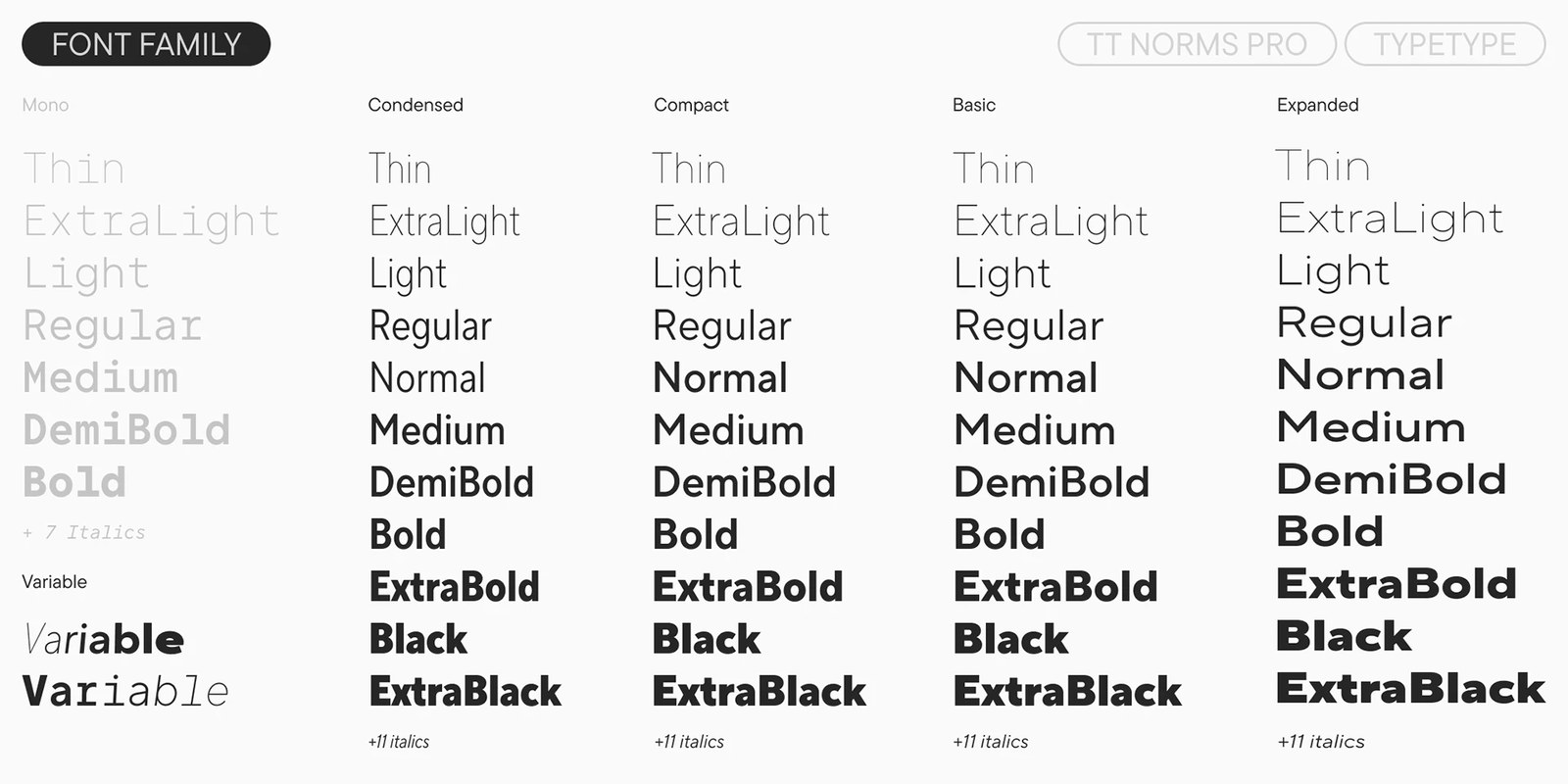Complete TT Norms Pro superfamily overview showing Mono, Condensed, Compact, Basic, and Expanded subfamilies from Thin to ExtraBlack