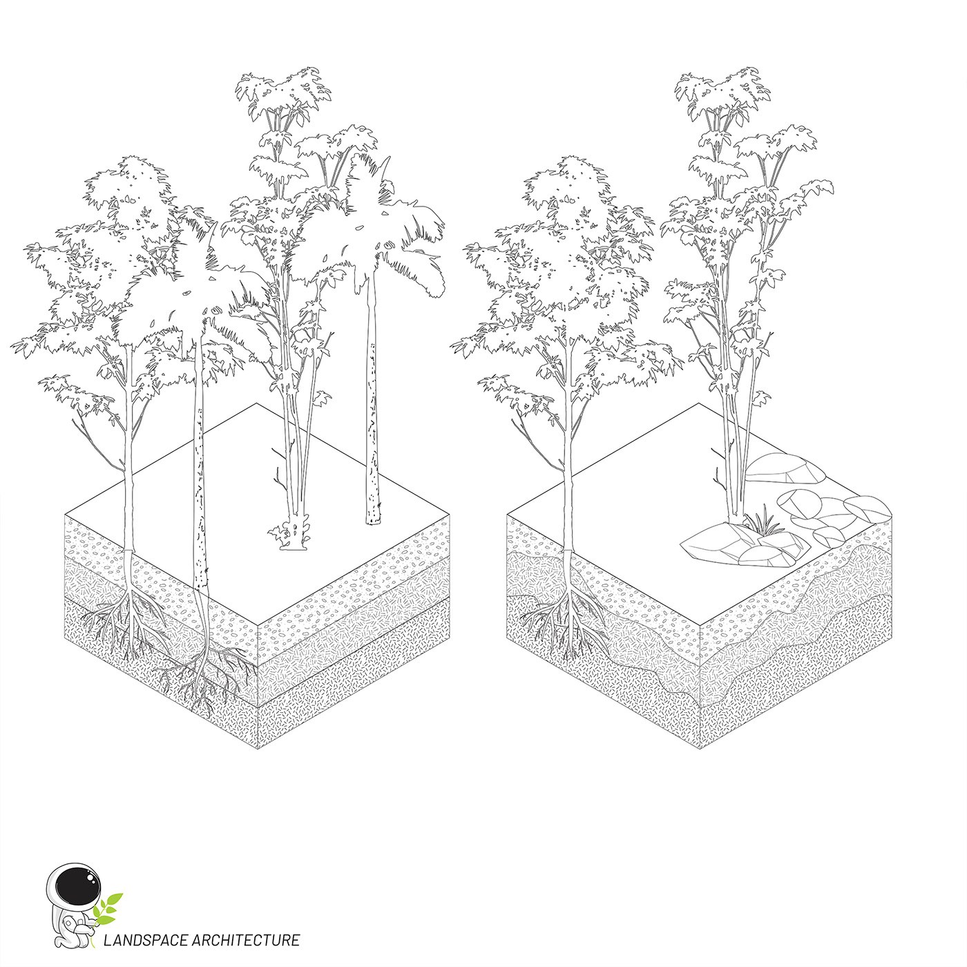 Tipos de árboles en paquete de recursos gráficos de ilustración de paisaje vectorial