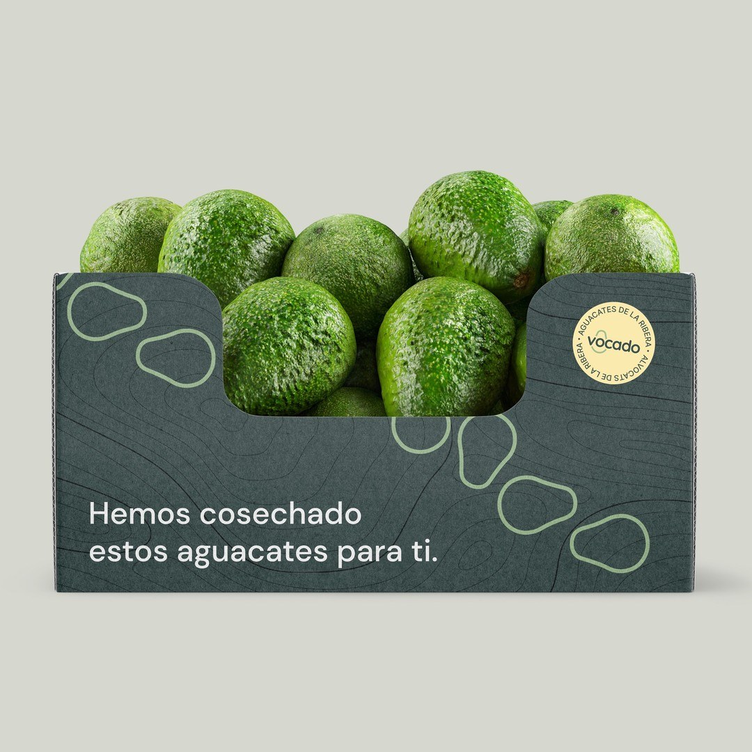Branding Design: Vocado by Estudio E