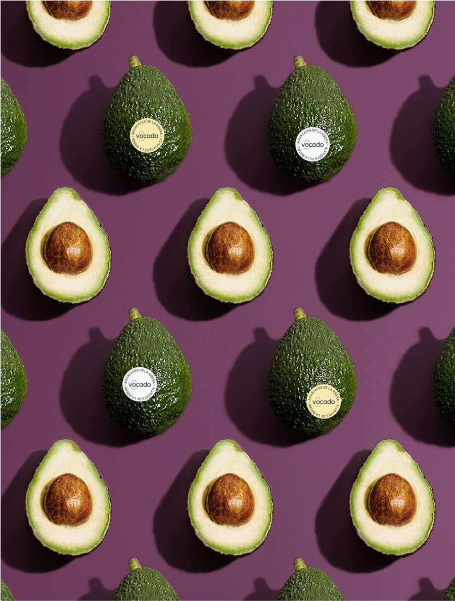Branding Design: Vocado by Estudio E