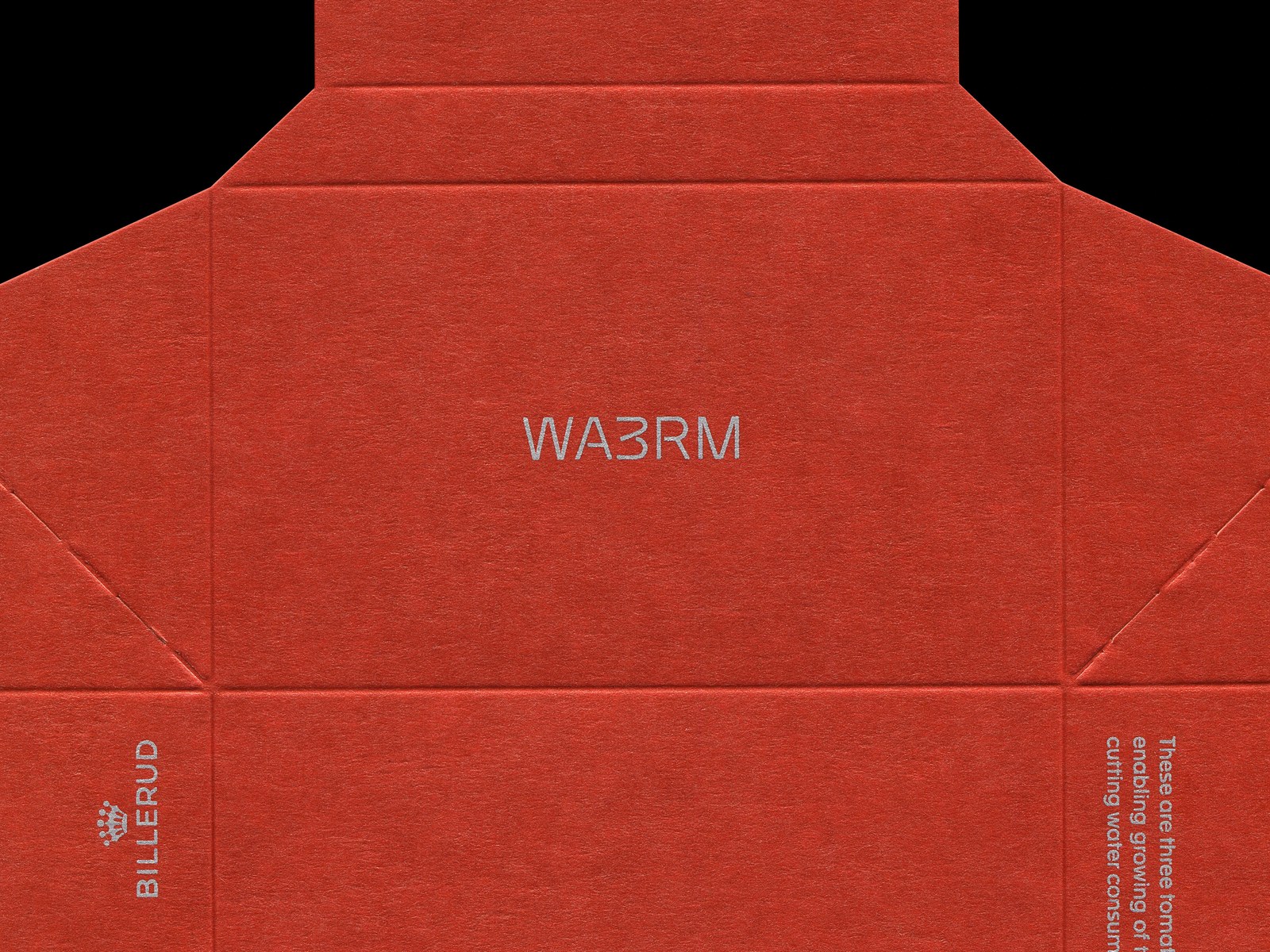 Custom wordmark with elongated pipe joints for WA3RM visual identity