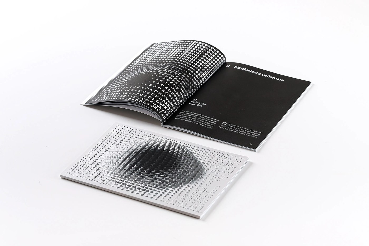 Word's Eye editorial design lenticular print detail