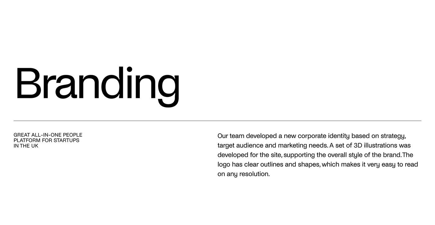 Zelt web design branding statement presenting corporate identity principles