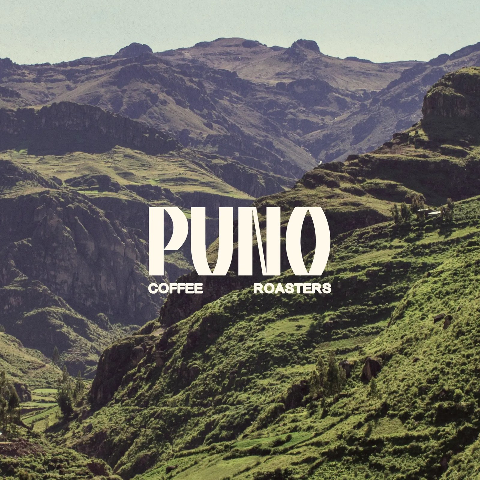 Branding: PUNO Coffee by CreativeWise