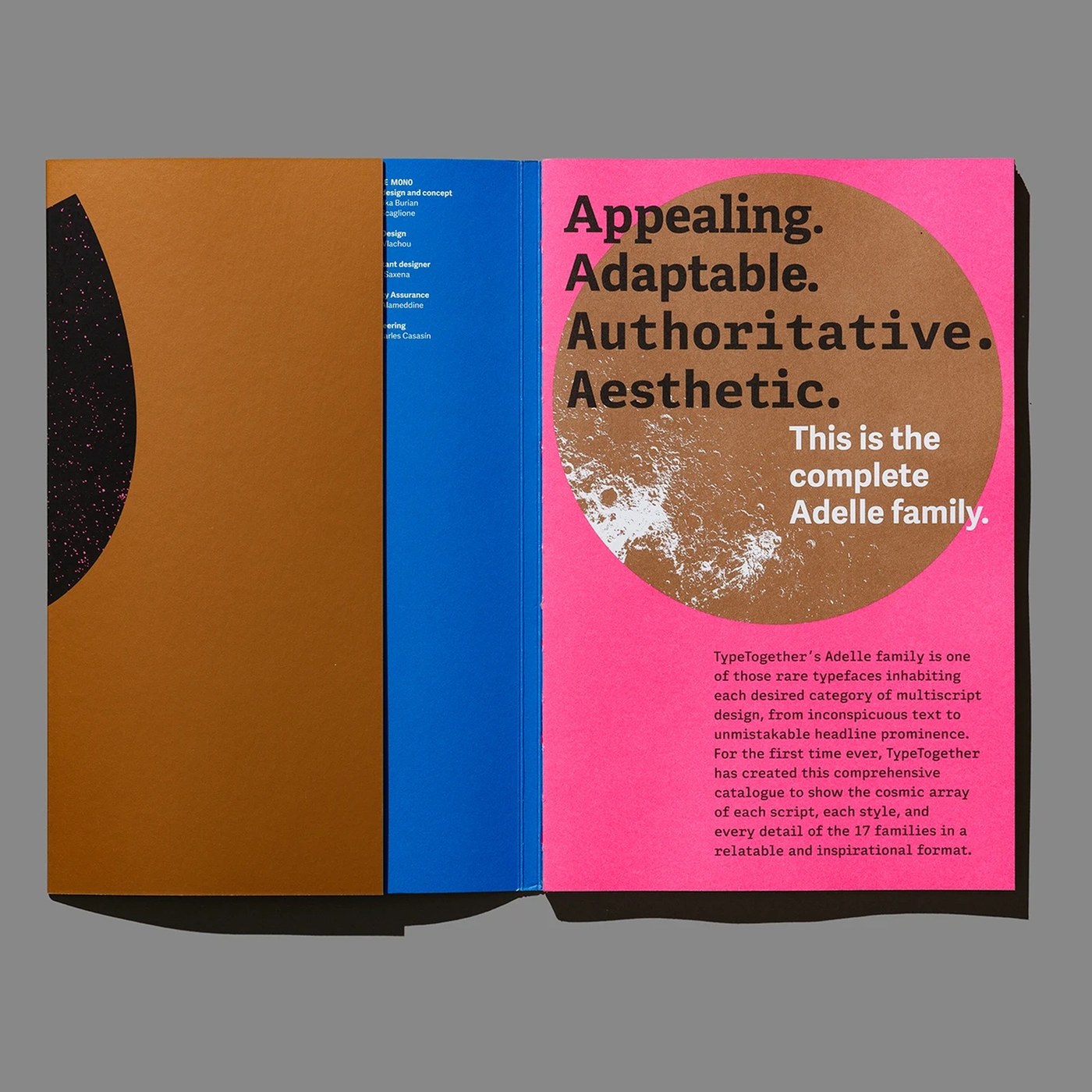 A Modern Typography Project by Tereza Bettinardi: The Adelle Constellation