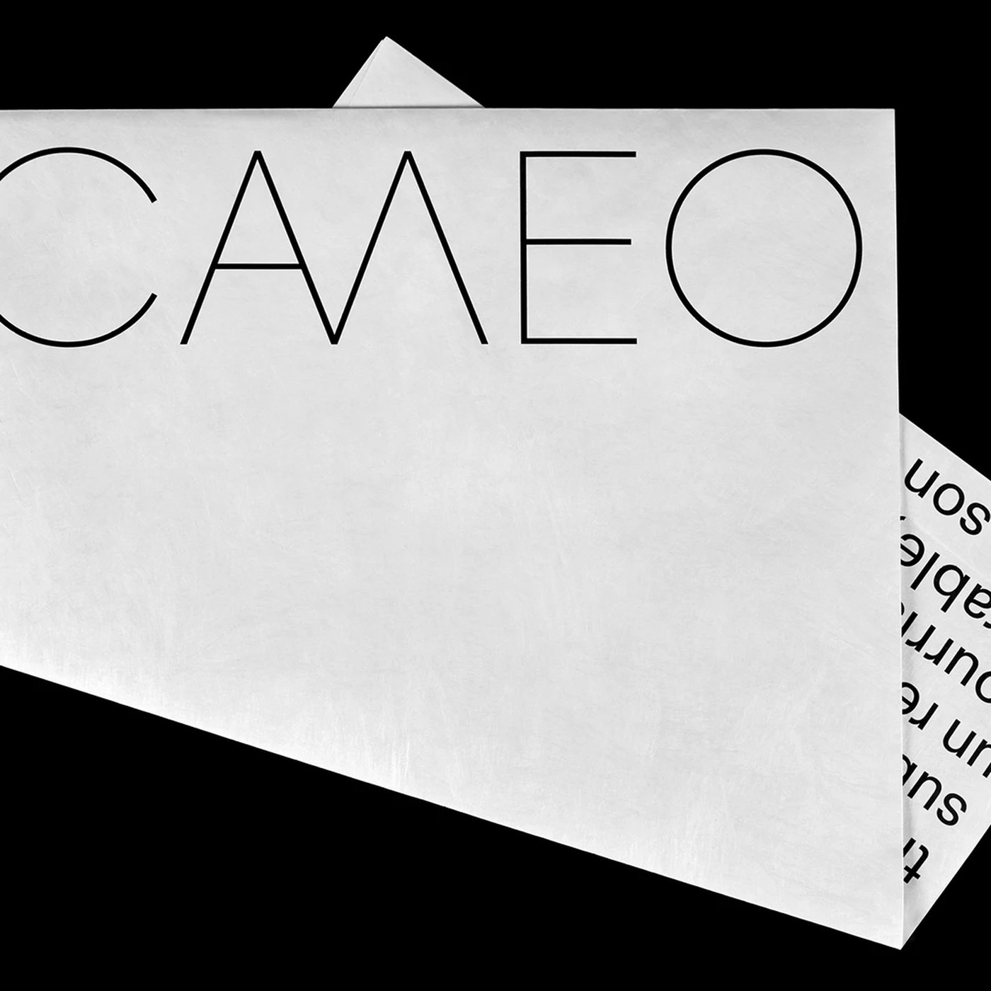 Brand Identity: CAMEO by Paprika Design