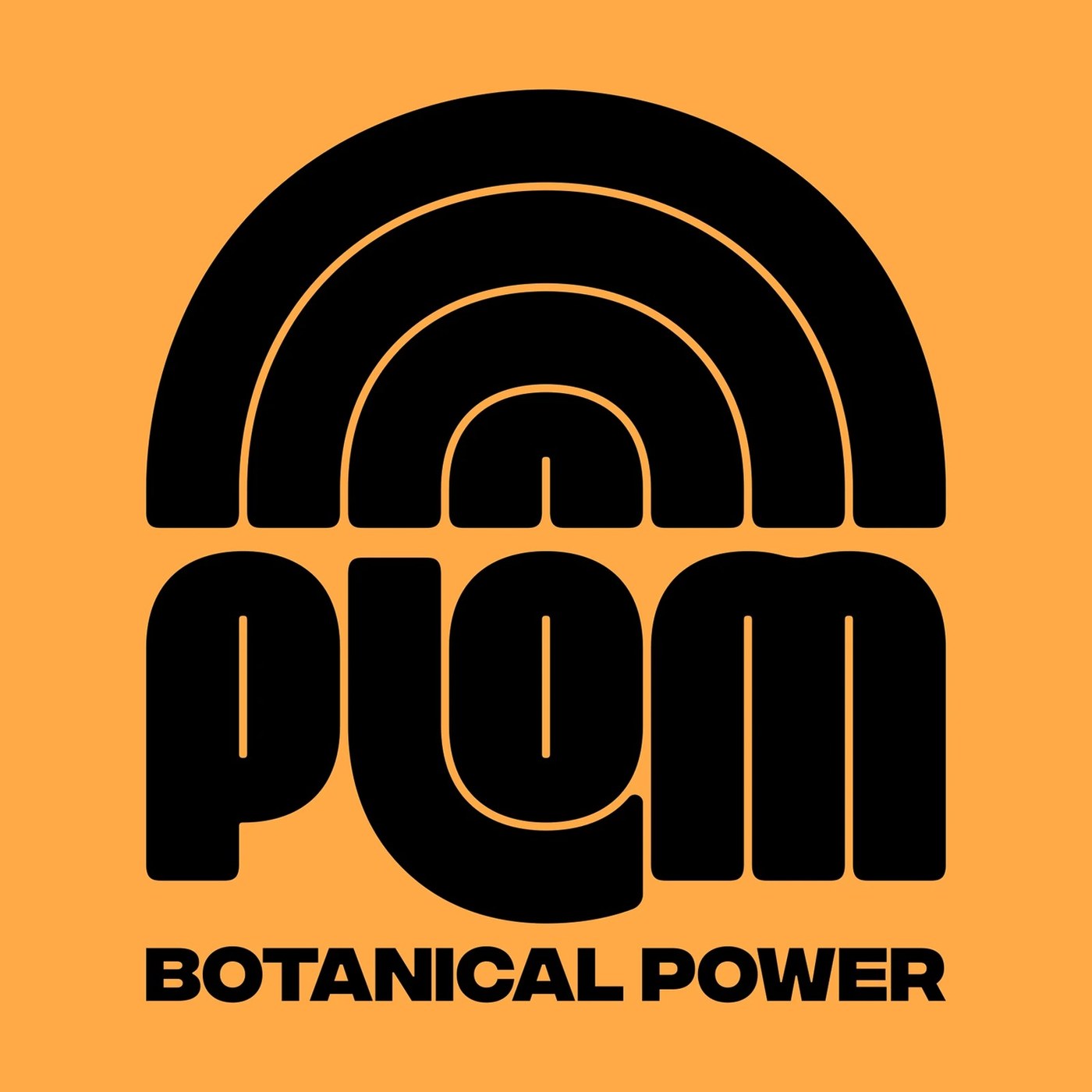 Brand Identity: Plom by Brand Brothers