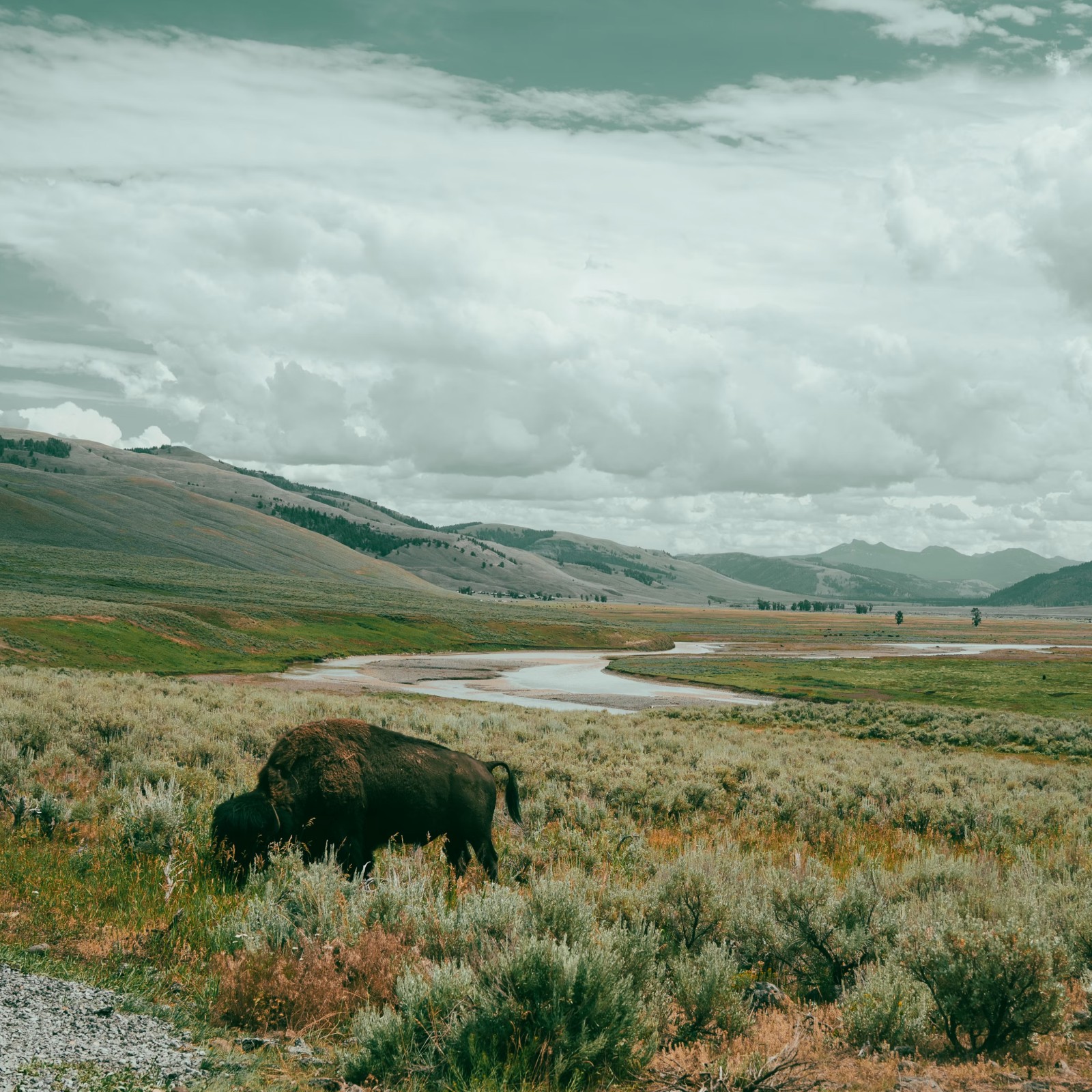 San Francisco to Yellowstone: A Photography Journey