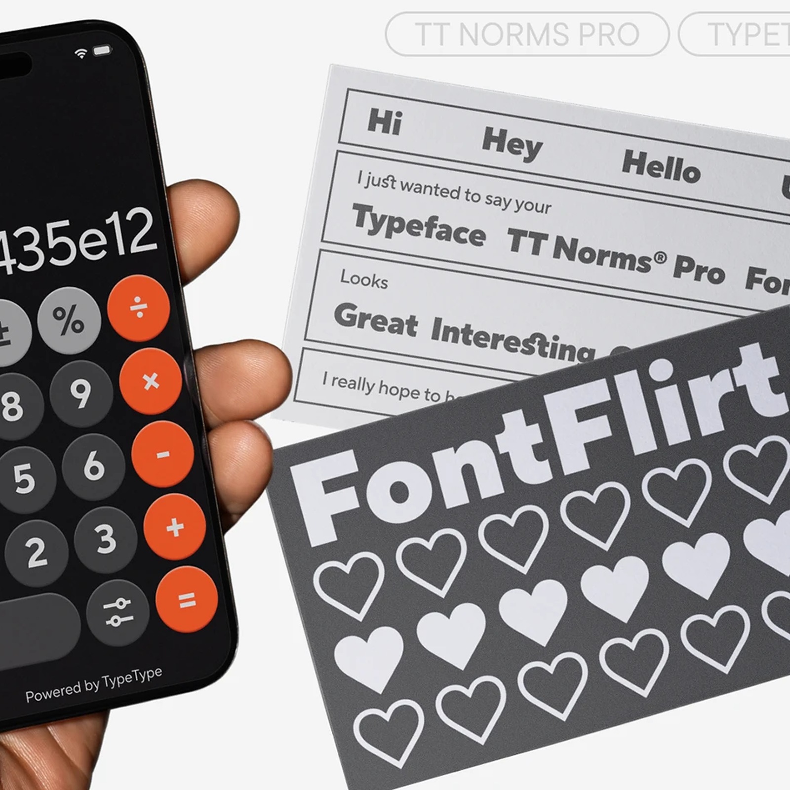 TT Norms Pro: Type Design by TypeType Foundry