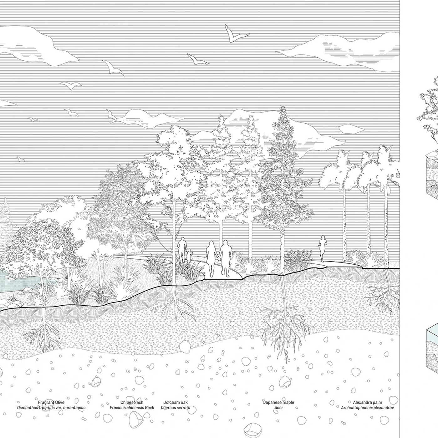 Vector landscape illustration graphic asset bundle: A study.