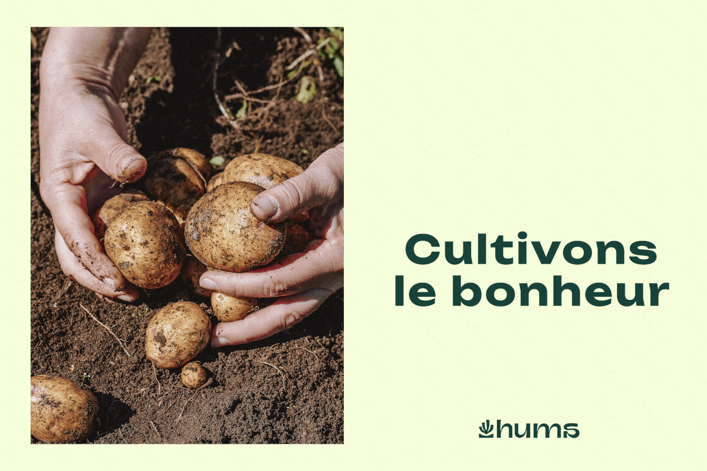 Julien De Meyère Crafts Dynamic Branding for Hums