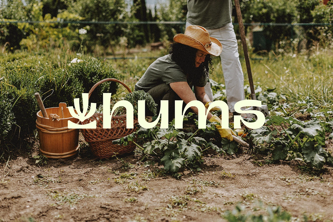 Julien De Meyère Crafts Dynamic Branding for Hums