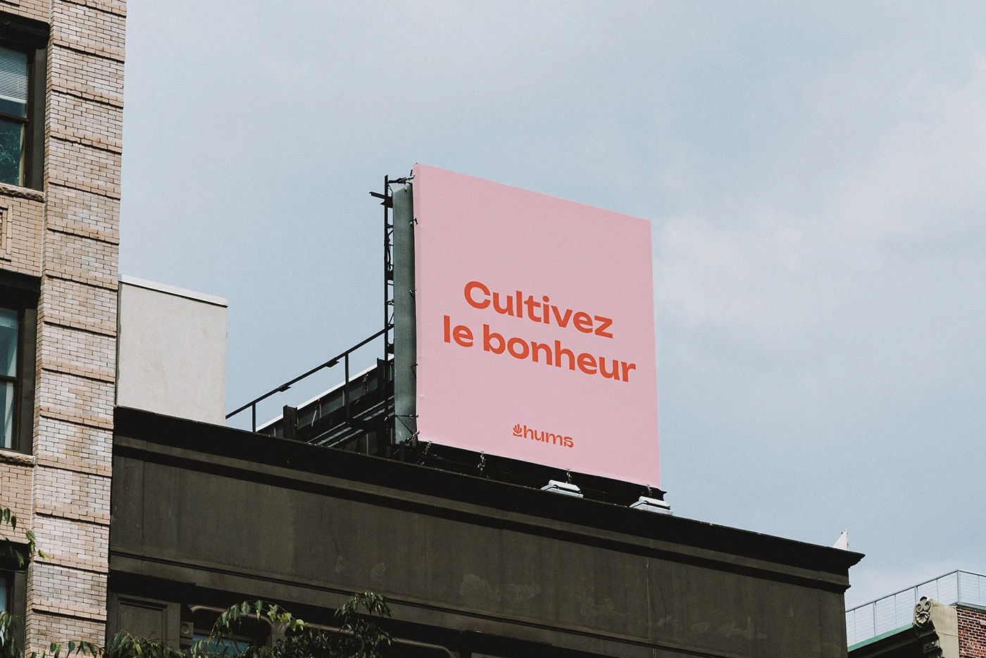 Julien De Meyère Crafts Dynamic Branding for Hums