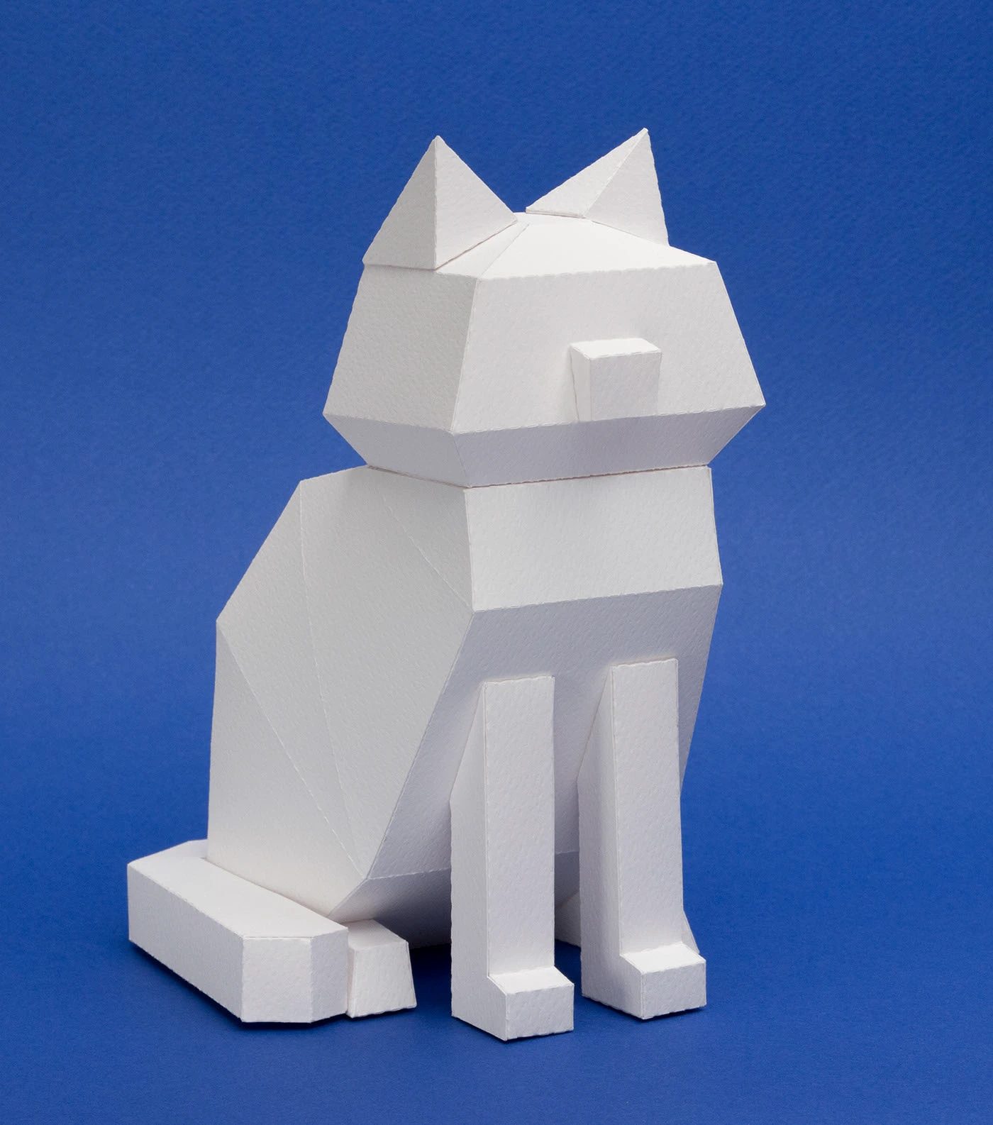 Kitten Paper Kits untextured white paper prototype design on cobalt blue backdrop