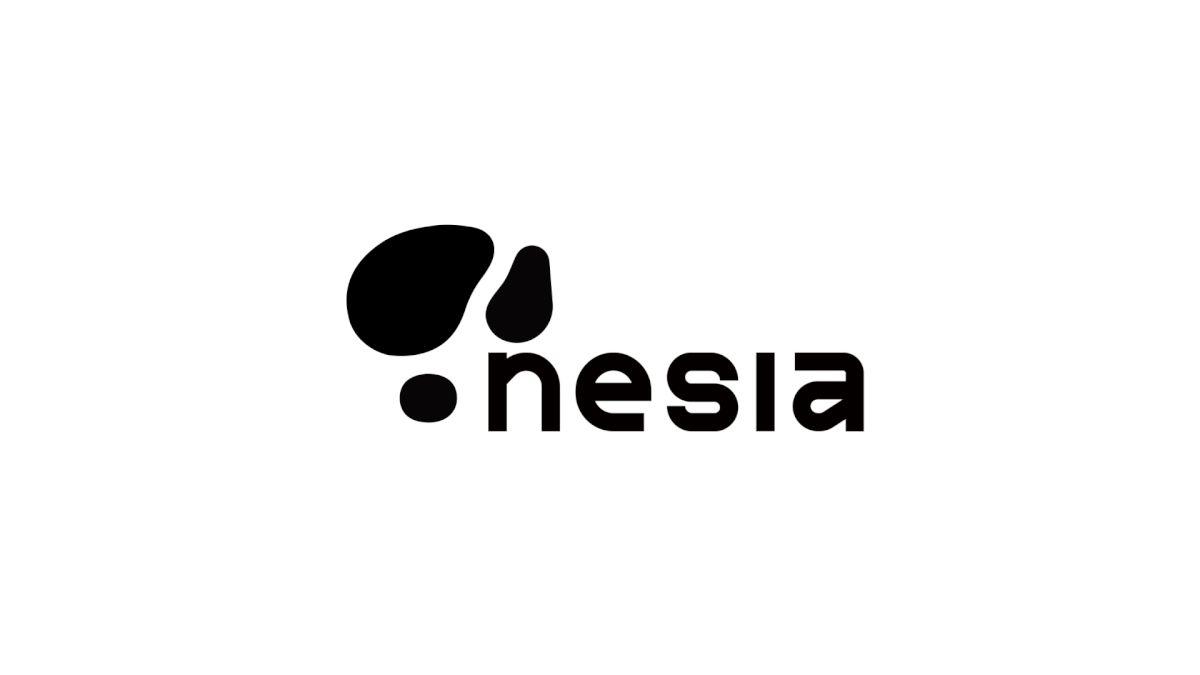 nesia brand design asset detail branding