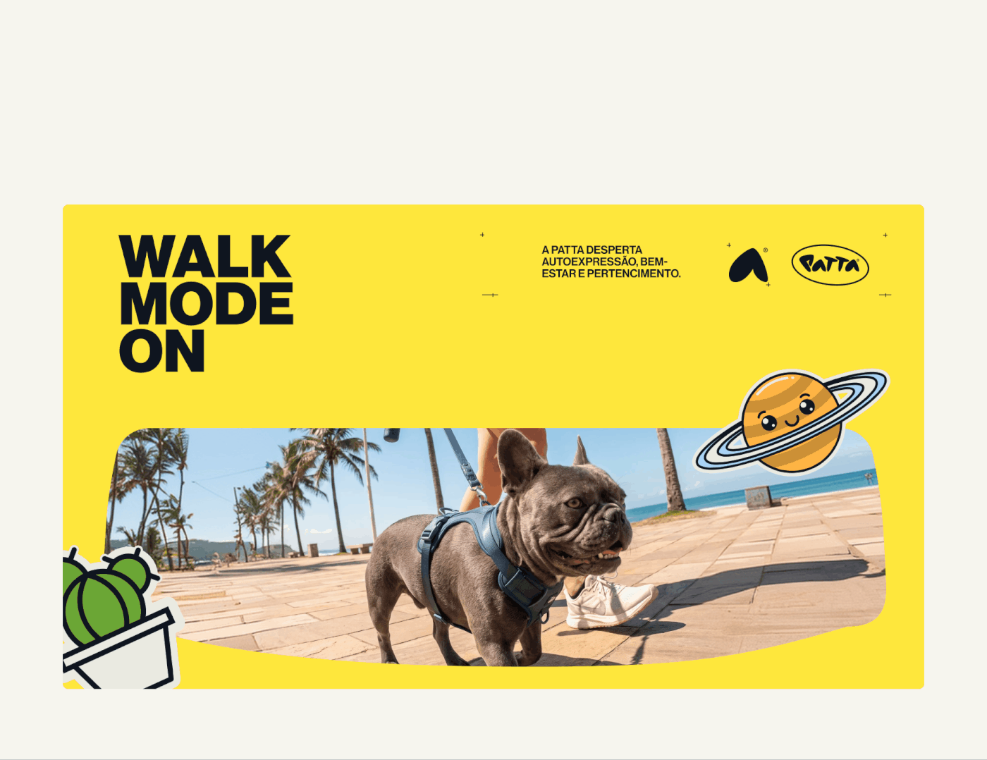 Patta’s New Visual Identity: An Expressive and Dynamic Brand System