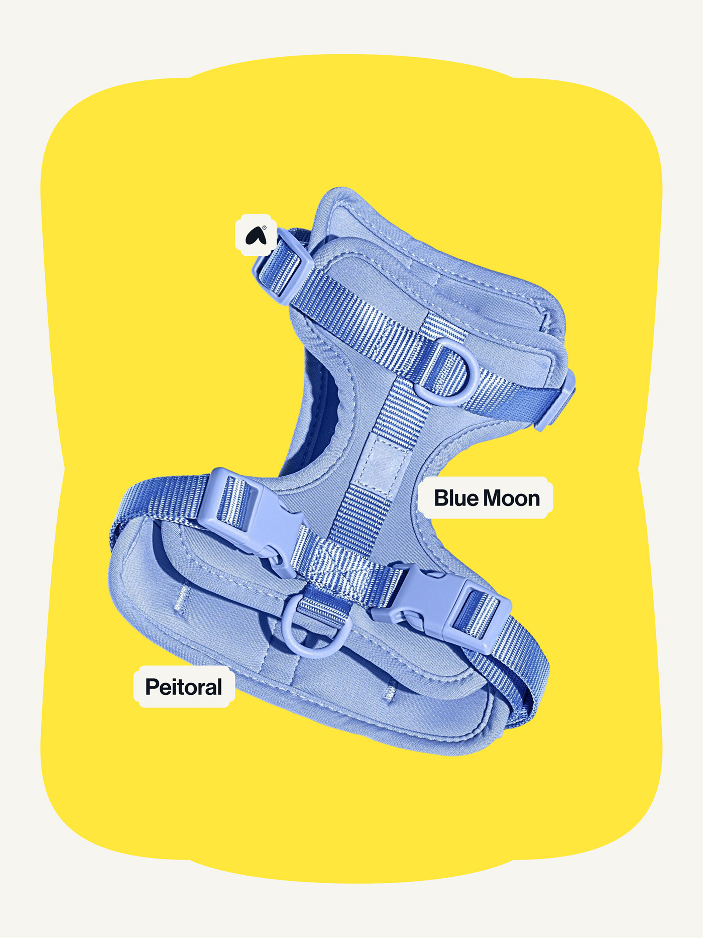 PATTA branding asset detail 6