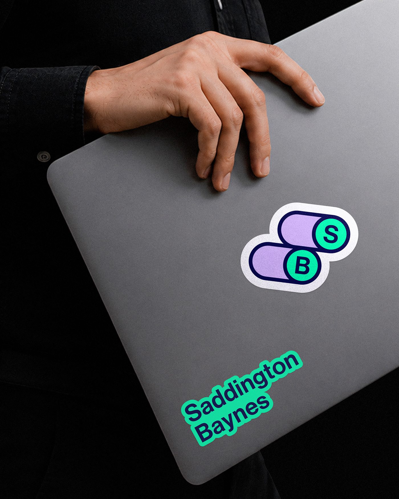 Saddington Baynes Identity and 3D Visual System