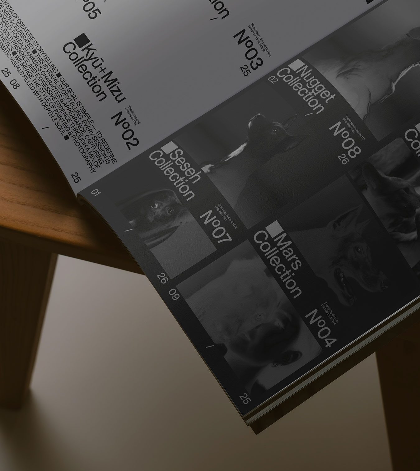 Unleash pet storytelling branding editorial publication brochure grid on wooden chair