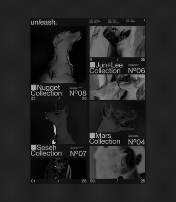 Unleash pet storytelling branding animated typography index numbers motion loop