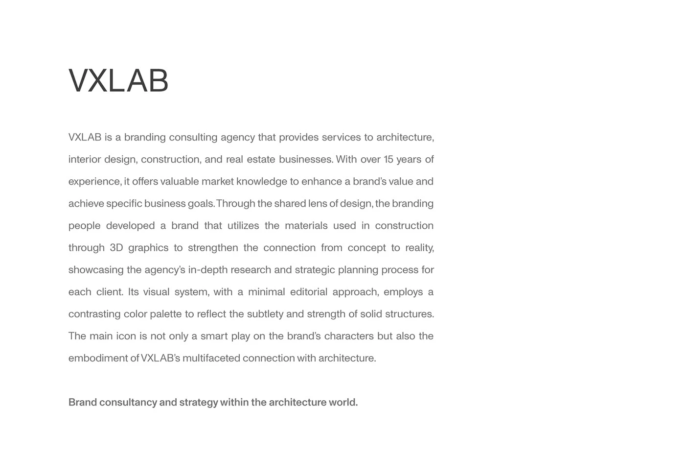VXLAB brand design asset detail branding