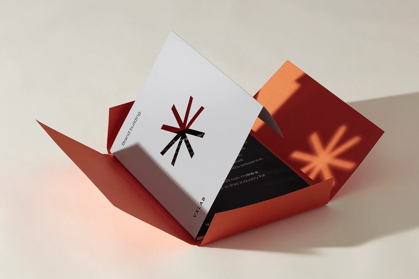 VXLAB packaging graphics design layout branding