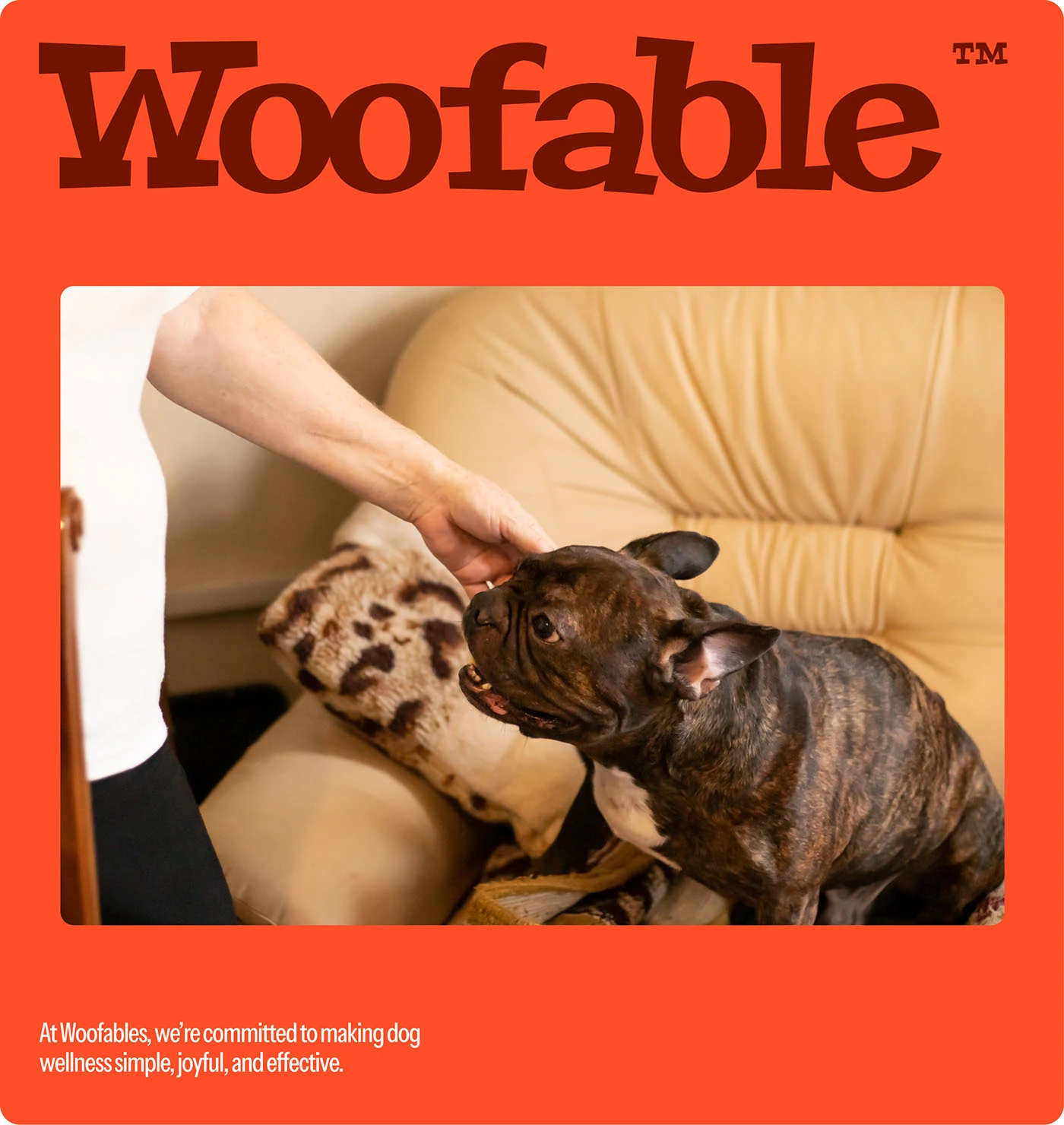 Detalles de tipografía de identidad de marca Woofable
