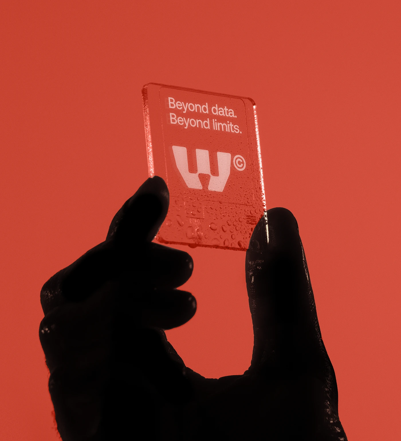 WORM branding identity detail 10