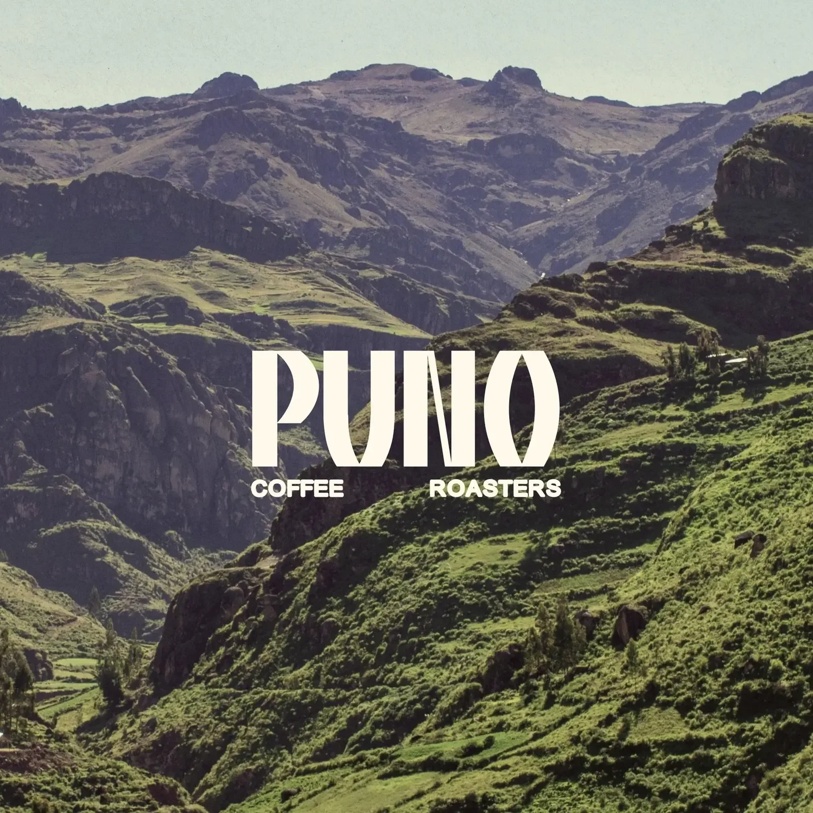Branding: PUNO Coffee by CreativeWise