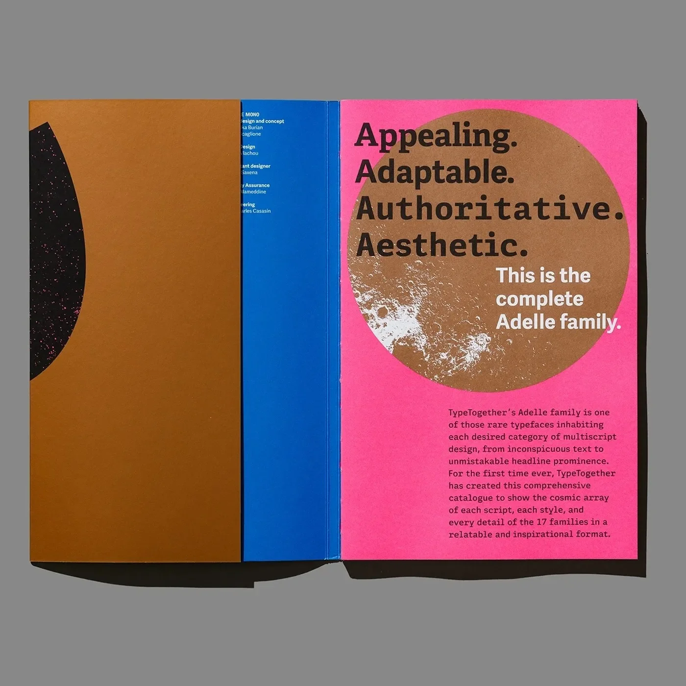 Type specimen cover spread — typography design by Tereza Bettinardi
