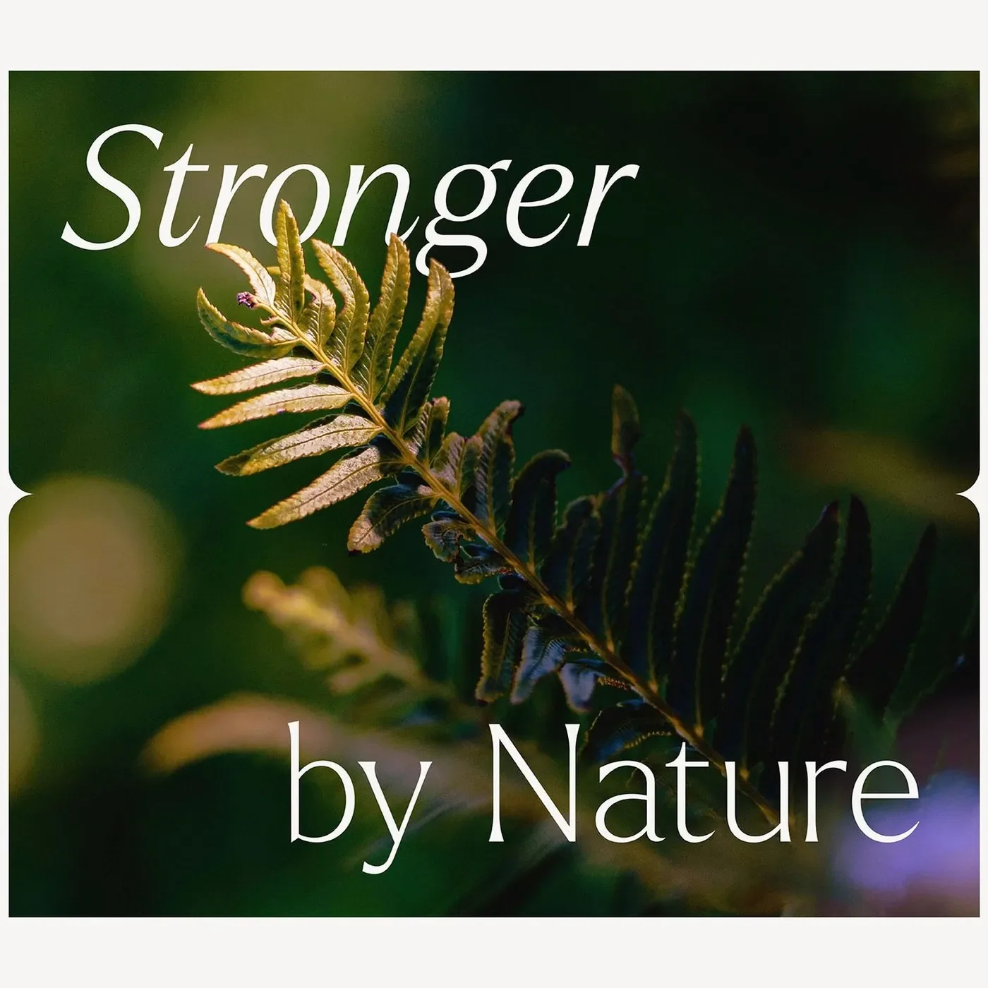 Aire Park brand identity design Stronger by Nature typography framing