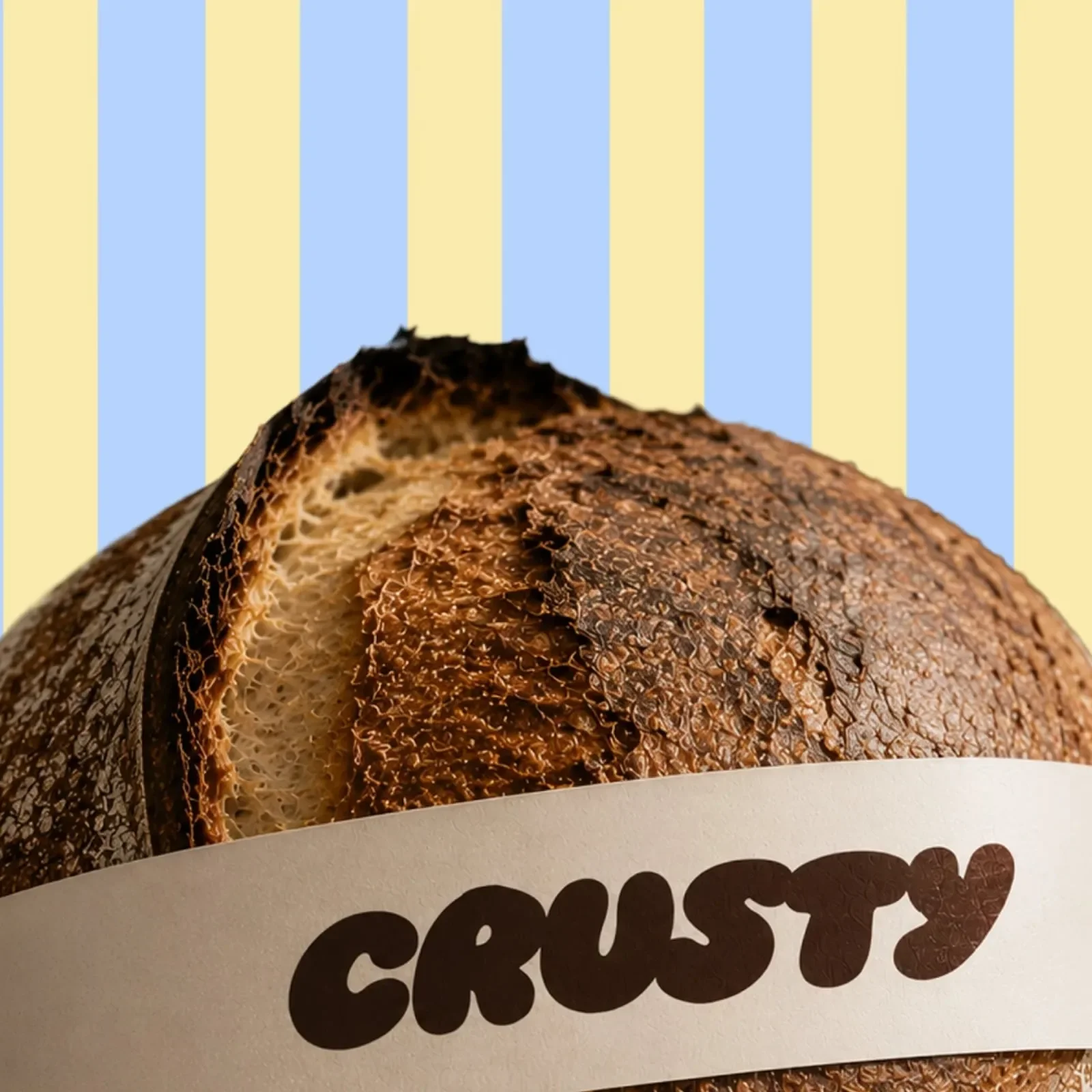 Crusty branding hero layout mockup