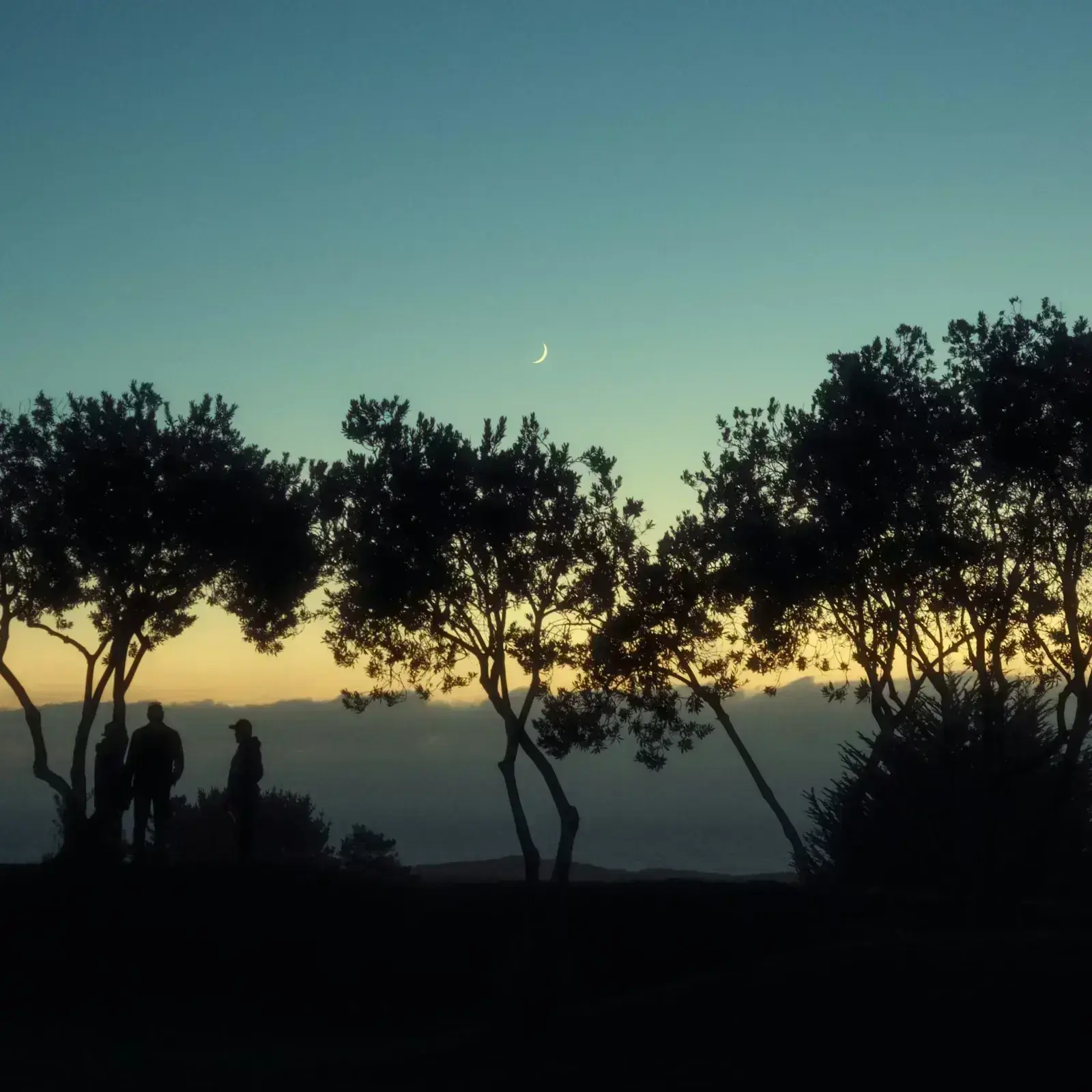 Disconnect to Reconnect: Camping in Highway 1, California