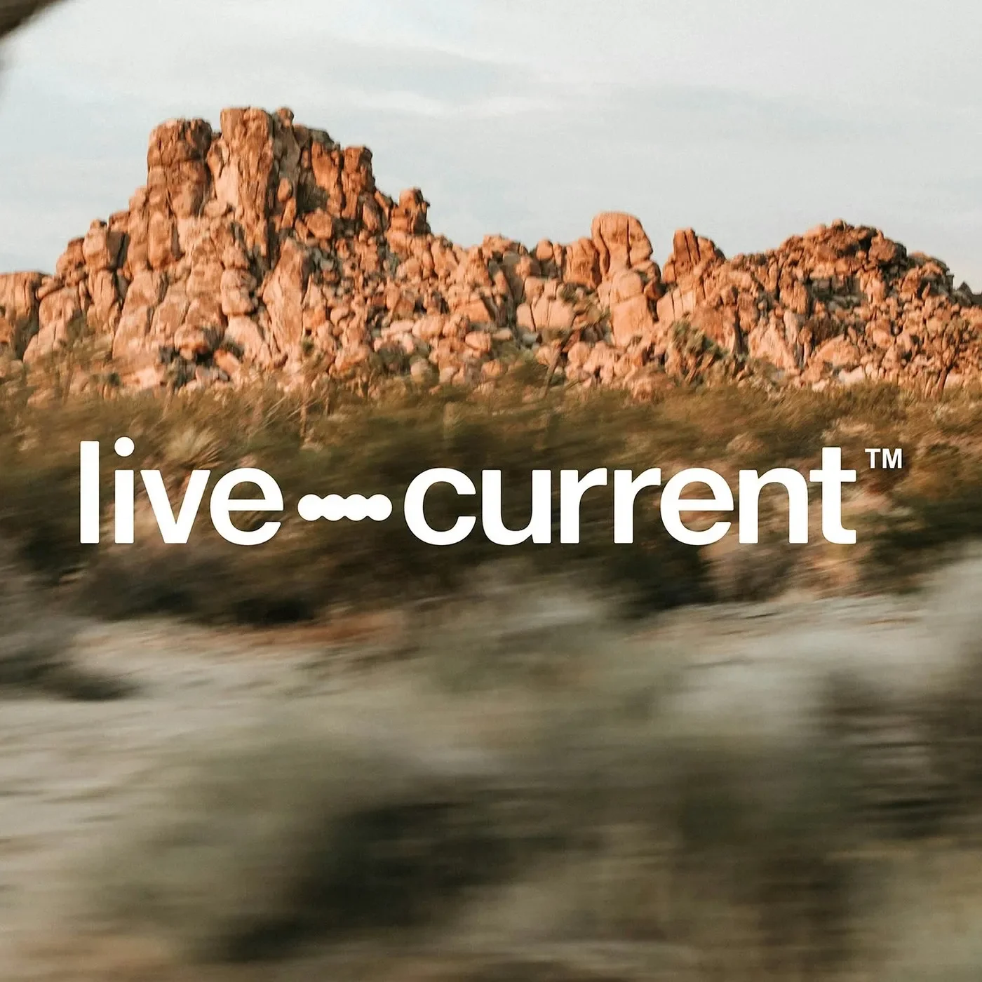 Live Current brand identity system overview and Neue Montreal logotype typography pairing — brand identity by Florian Cornut
