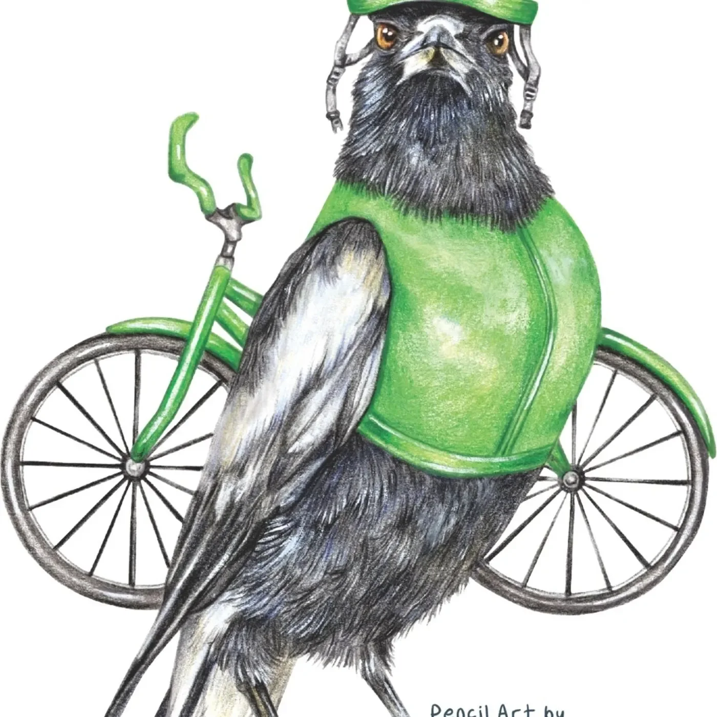 Clive the Cyclist magpie coloured pencil wildlife illustration by Kayla Reay for Lonely Kids Club