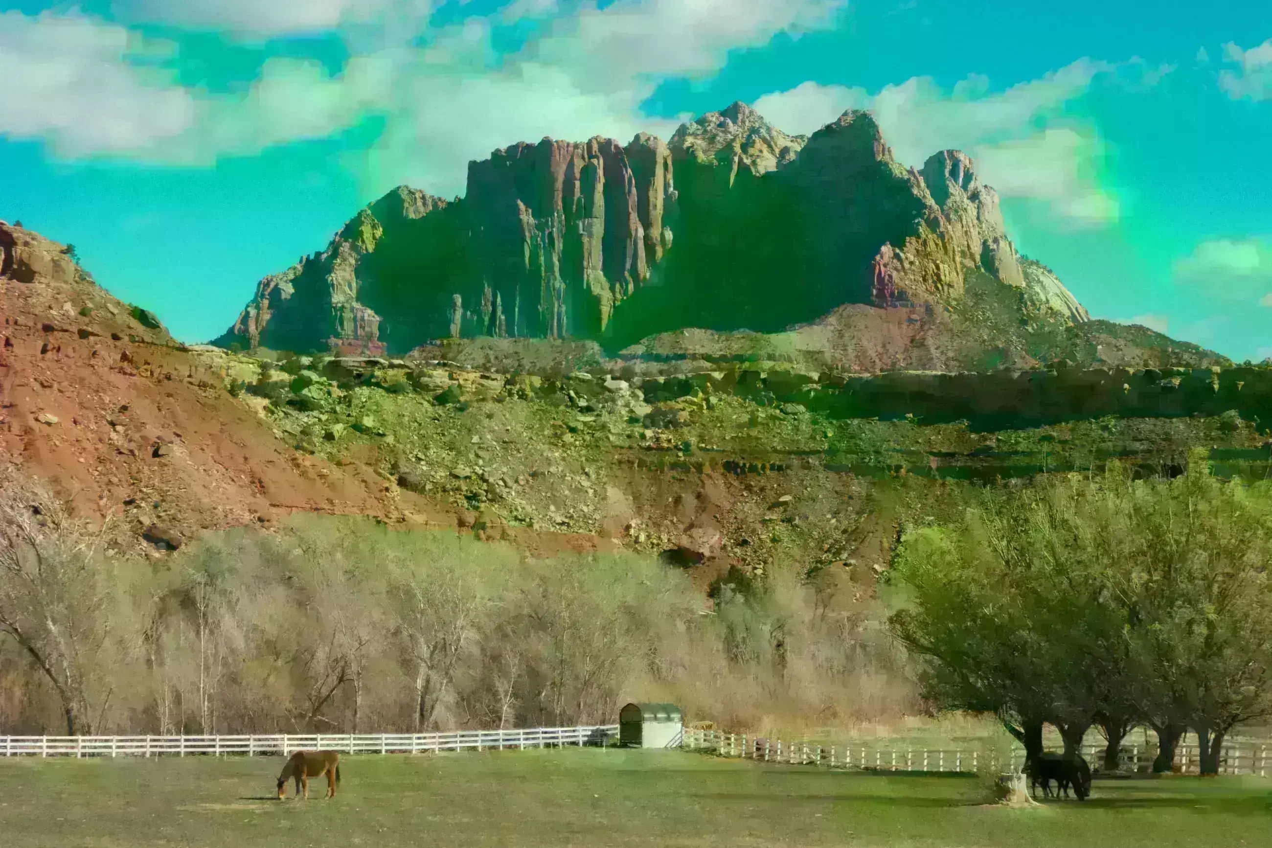 Design Meets Nature: U.S. National Parks Open Their Gates for Free on August 4