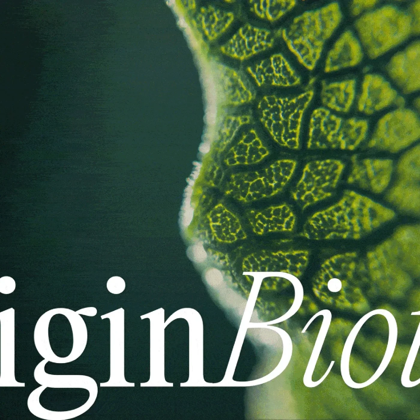 Originbiotics packaging motion design with dark green backgrounds
