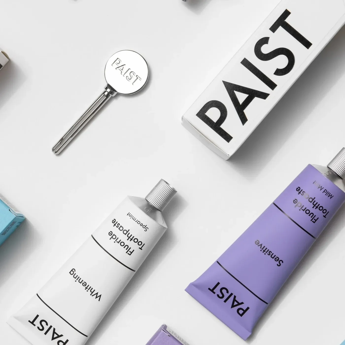 Paist brand identity master system board and packaging flat lay with embossed logo key and tubes