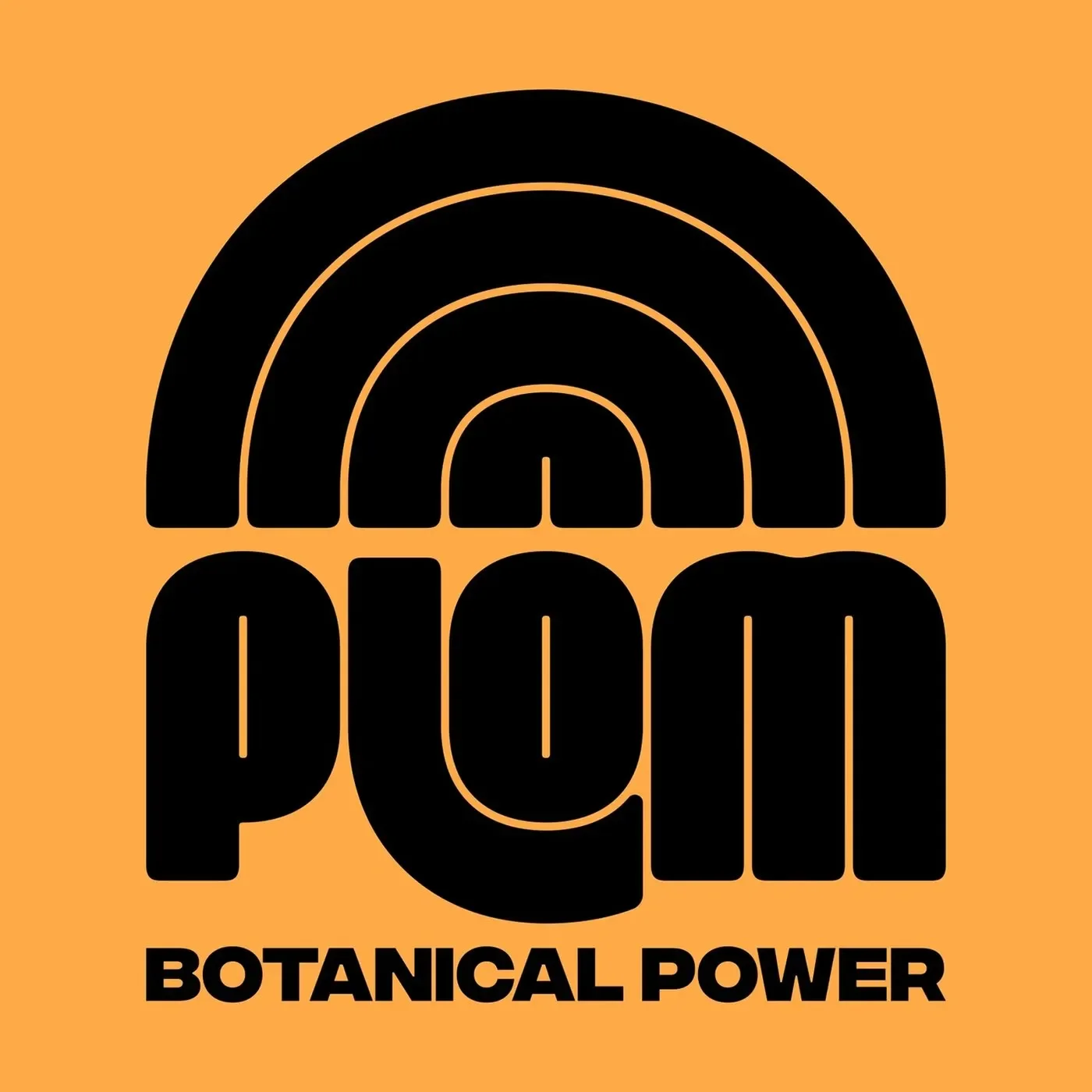 Plom concentric arches brand emblem and custom typography — brand identity by Brand Brothers