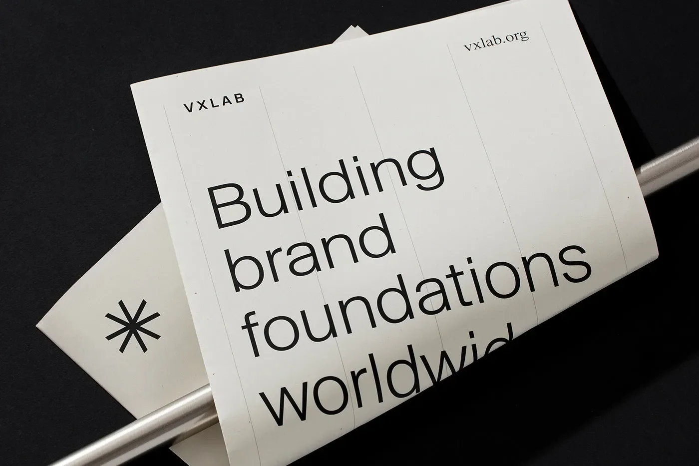 VXLAB hero packaging mockup branding