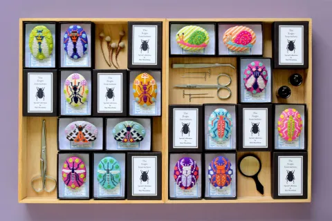 Kogin embroidered Insect Brooches