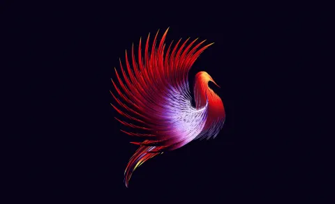 Colorful & Abstract Illustrations