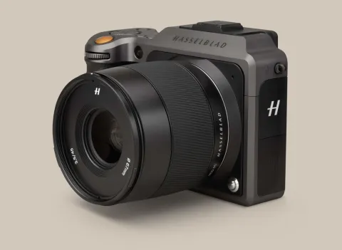 Editor's 2019 Gift Guide