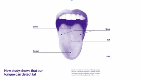 Visual Identity Reframes Conversation Around Obesity by Turner Duckworth