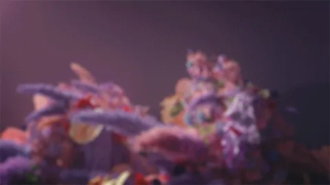 Creative Process Campaign for Brrch on Squarespace