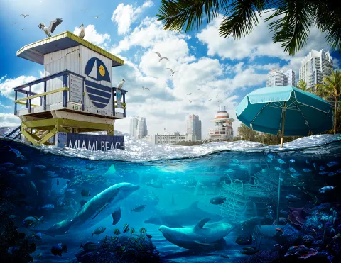 Floating World, a Photoshop project on the impacts of climate change