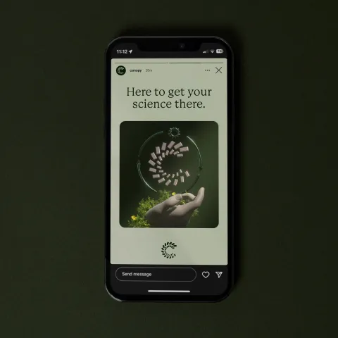 Canopy: A Warm Brand Identity Design for Life Sciences