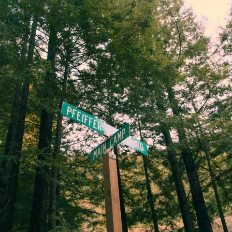 The Art of Stepping Away: Photography from a Weekend in Big Sur