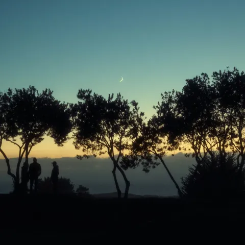 Disconnect to Reconnect: Camping on Highway 1, California