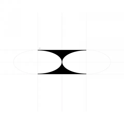 Web Design Visual Identity System Branding: Janus Gaze